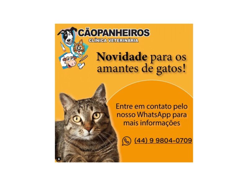 CÃOPANHEIROS - CLÍNICA VETERINÁRIA