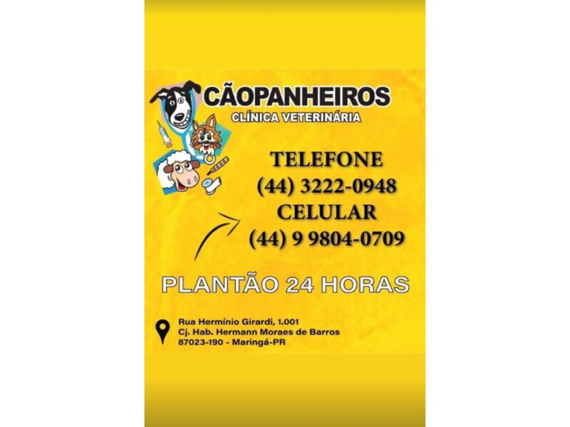 CÃOPANHEIROS - CLÍNICA VETERINÁRIA
