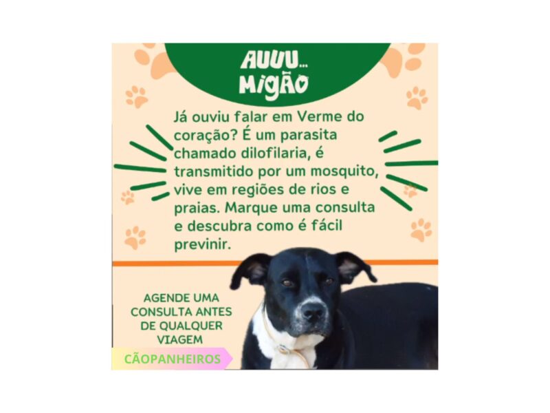 CÃOPANHEIROS - CLÍNICA VETERINÁRIA