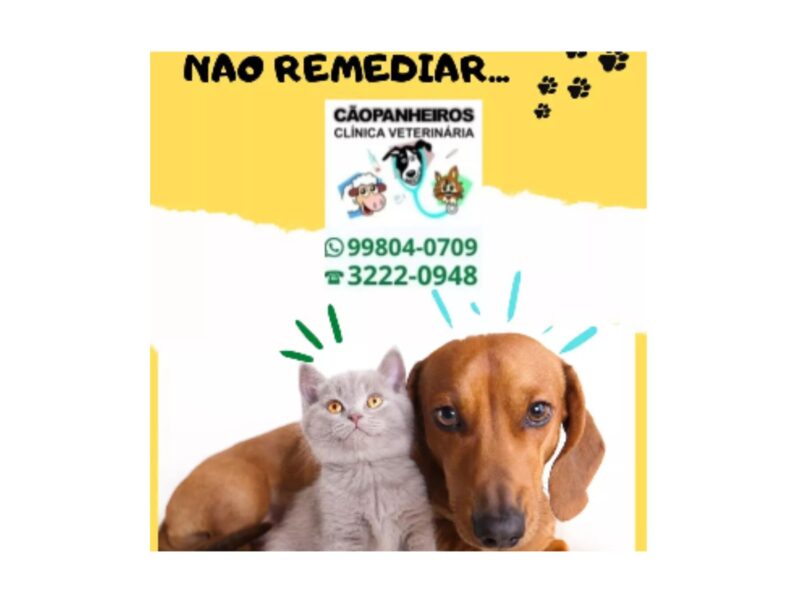 CÃOPANHEIROS - CLÍNICA VETERINÁRIA