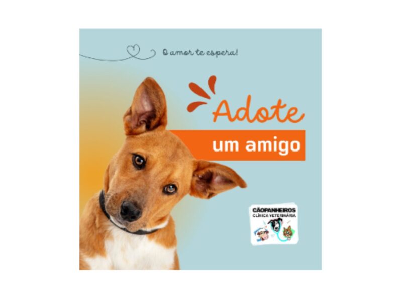 CÃOPANHEIROS - CLÍNICA VETERINÁRIA