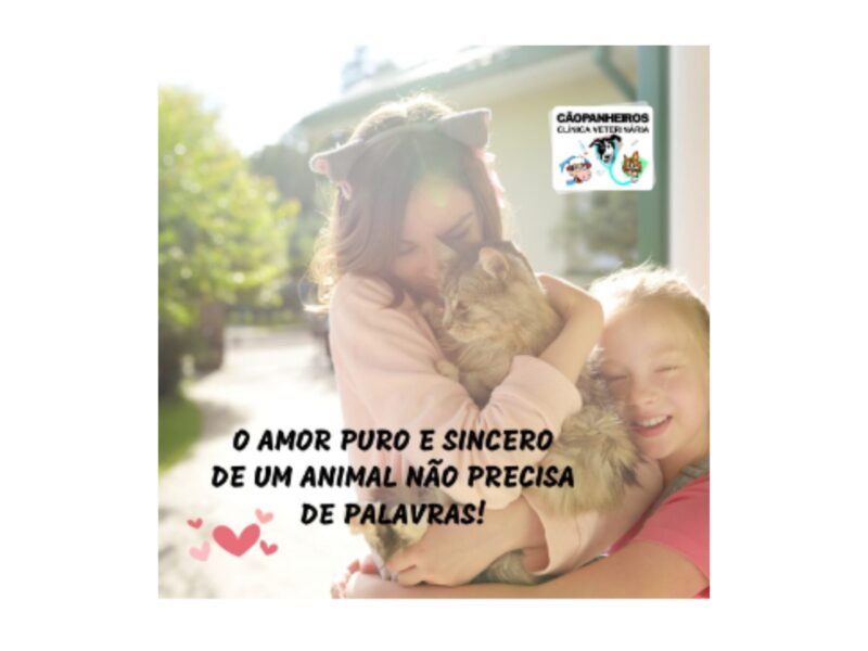 CÃOPANHEIROS - CLÍNICA VETERINÁRIA