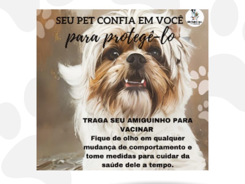 CÃOPANHEIROS - CLÍNICA VETERINÁRIA